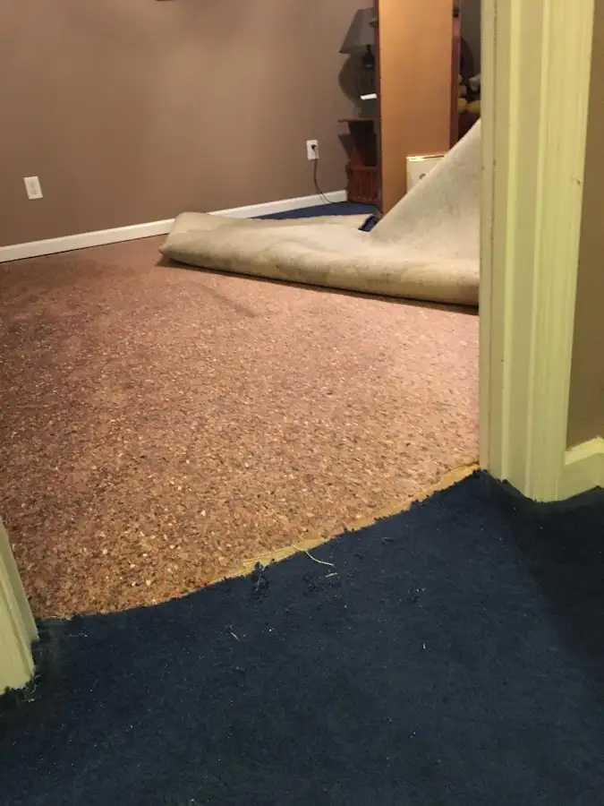 Carpet pad removal revealing water damage during Drying & Dehumidification in Novato