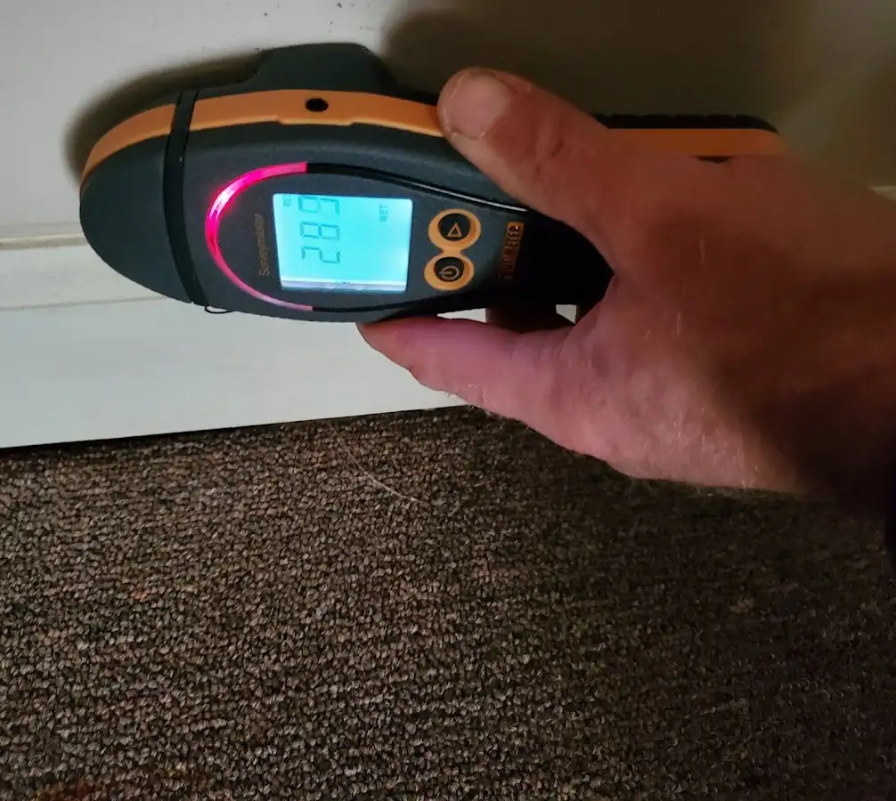 Moisture detection at baseboard during Storm Damage Restoration in Novato